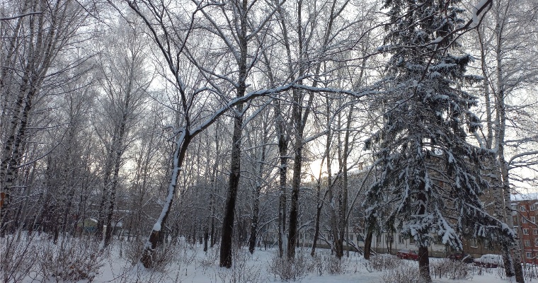 15 января в Удмуртии днём ожидается до -10…-15 градусов