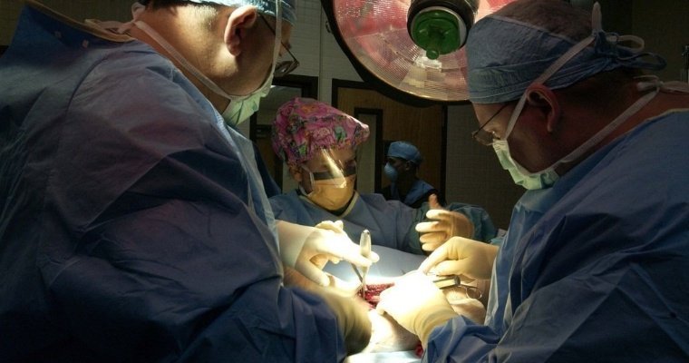 Ленточного червя извлекли из головы девочки врачи в Новосибирске