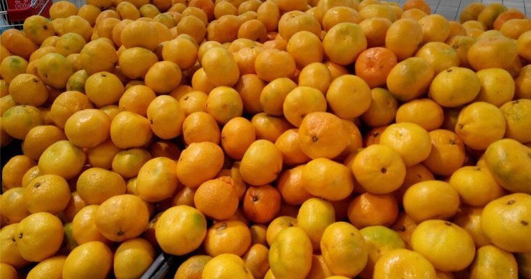 Фермеры Аджарии планируют собрать 55 тысяч тонн мандаринов к новому году