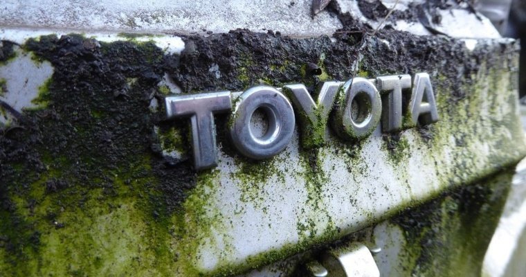 Собственником бывшего автозавода Toyota в Санкт-Петербурге стало ФГУП НАМИ