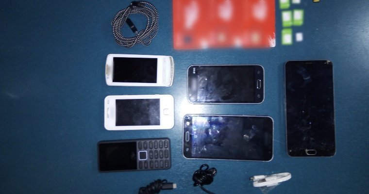 110 телефонов и почти 1 кг наркотиков попытались пронести в колонии Удмуртии за 6 месяцев