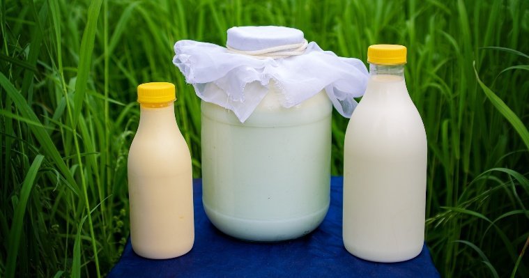 За год количество экспортируемой молочной продукции из Удмуртии в Узбекистан и Китай выросло в 5 раз 