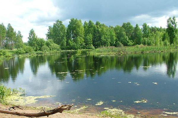 Конкурс на аренду водоема Конкурс на аренду водоема