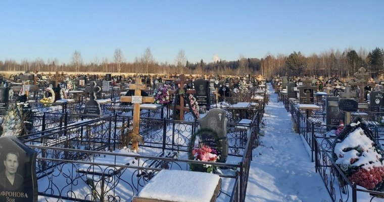 Сотрудника кладбища в Удмуртии заподозрили в краже имущества у пенсионерки