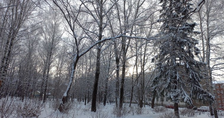 16 февраля в Удмуртии ожидается до -21 градуса