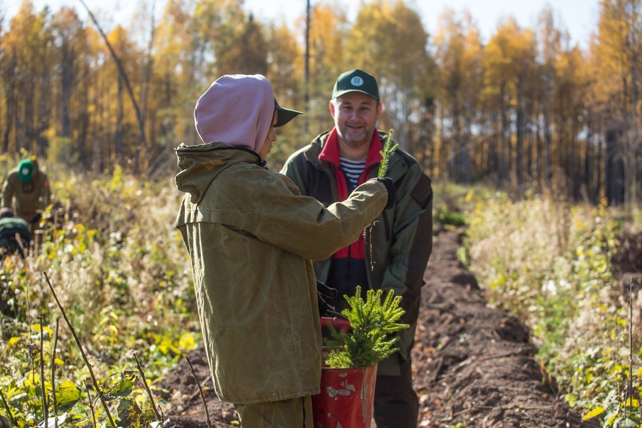 Новый лес на площади три гектара появится в Якшур-Бодьинском районе