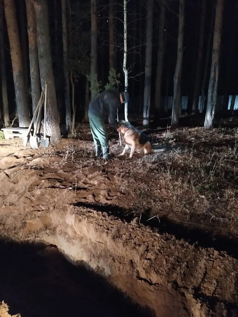 Упавшую в траншею собаку спасли в Ягуле