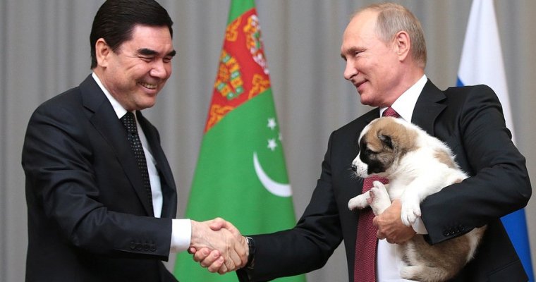Глава Туркмении подарил Путину алабая