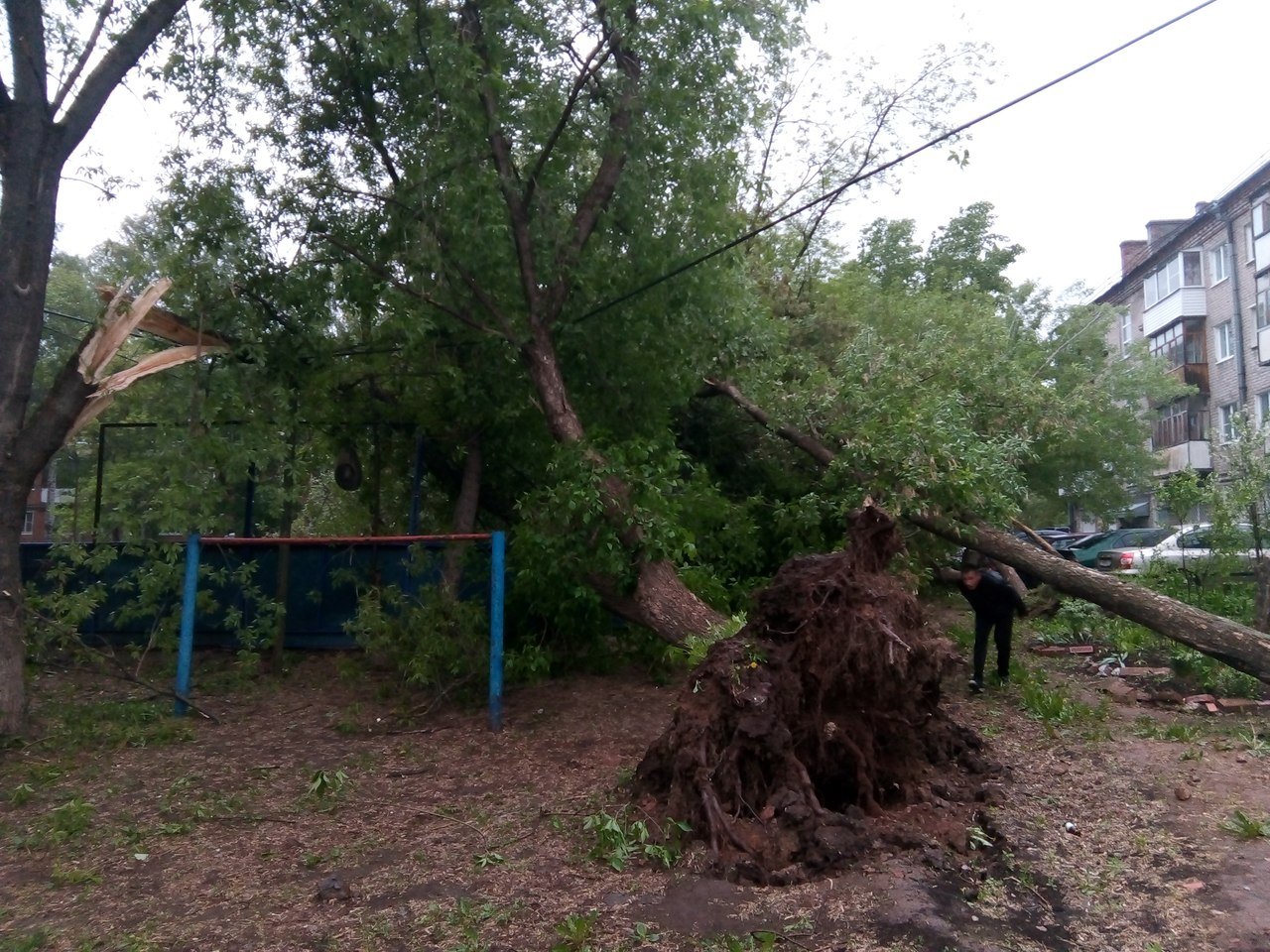 В Удмуртии 9,5 тыс домов и 71 соцобъект остались без электричества из-за сильного ветра
