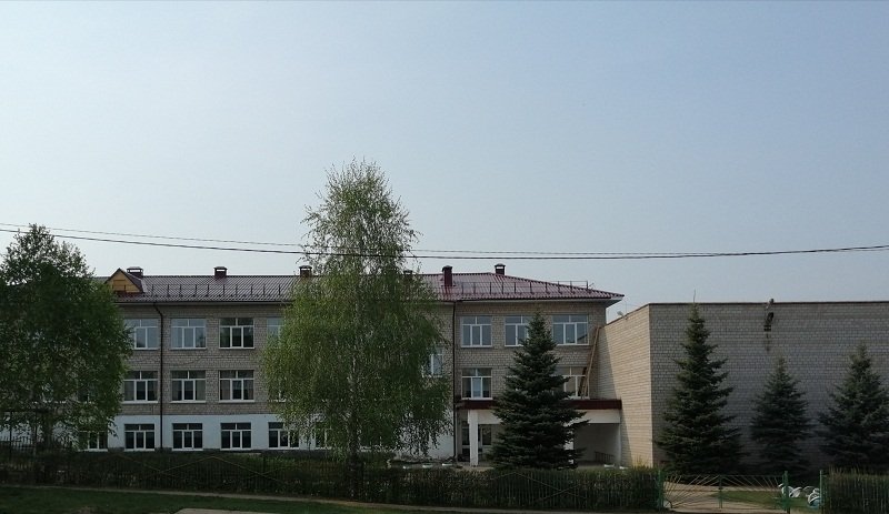 В одной из школ Каракулинского района ученик пострадал от разлива брома