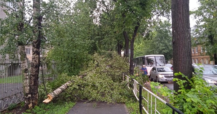 Треть месячной нормы осадков выпала за ночь в Вологде