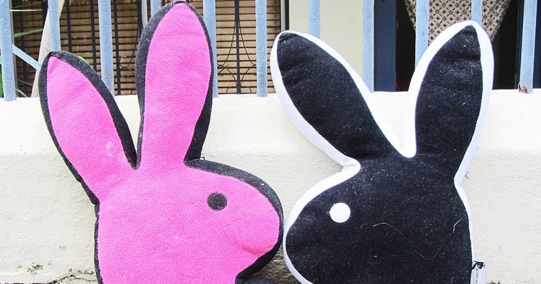 Инвалид по зрению в США подал в суд иск против сайтов Playboy
