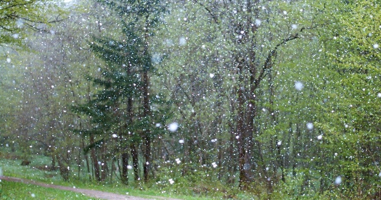 Дожди с мокрым снегом пройдут местами на территории Удмуртии 21 октября