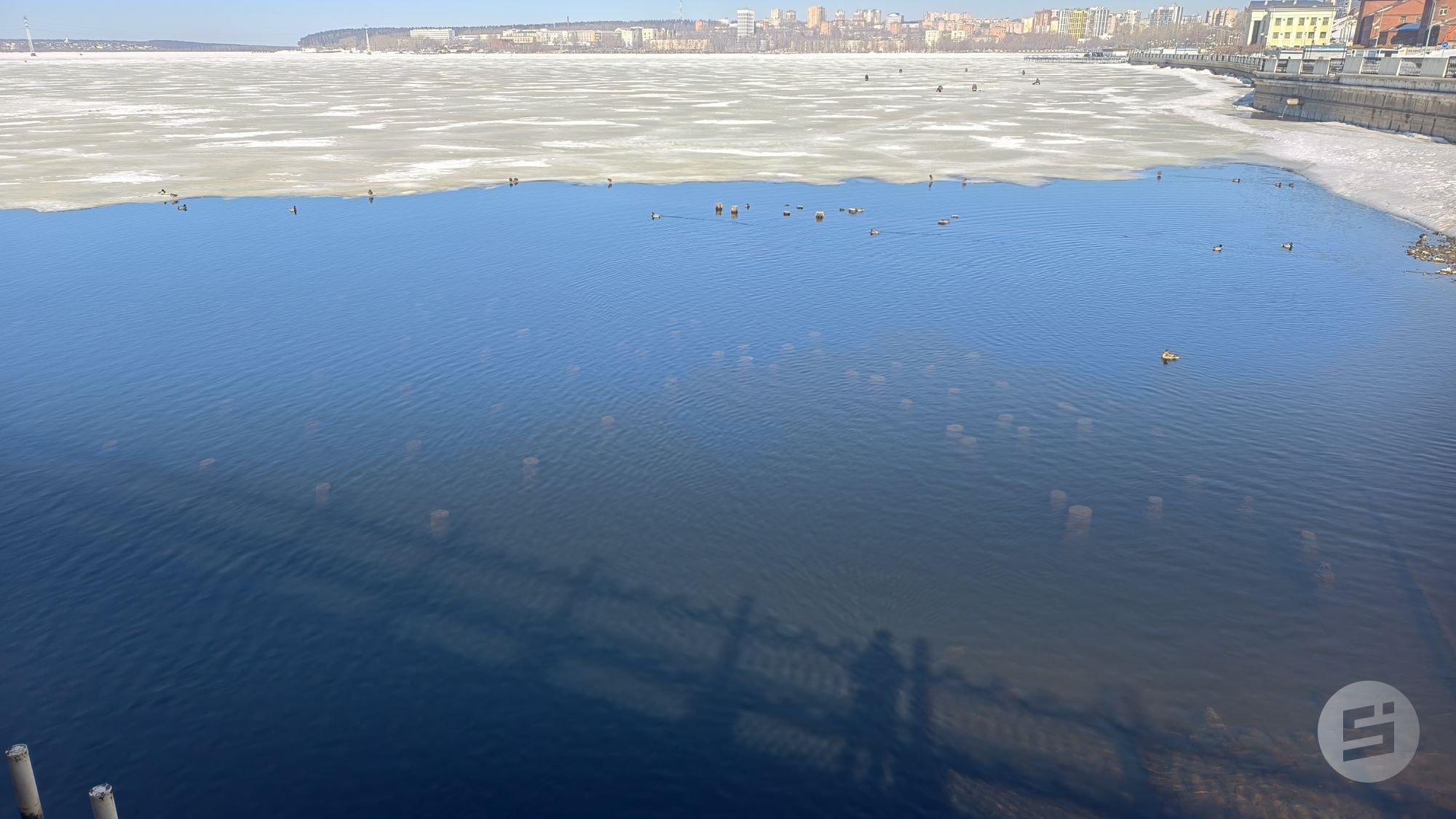 Мы спросили за вас: что за сваи виднеются весной в водах Ижевского пруда?