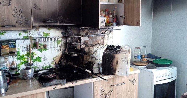 Проголодавшиеся кошки устроили пожар в Уфе