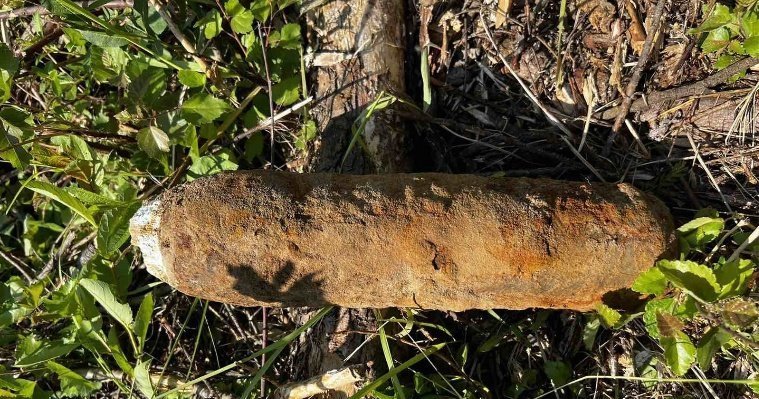 В лесах Удмуртии взорвался снаряд времён гражданской войны