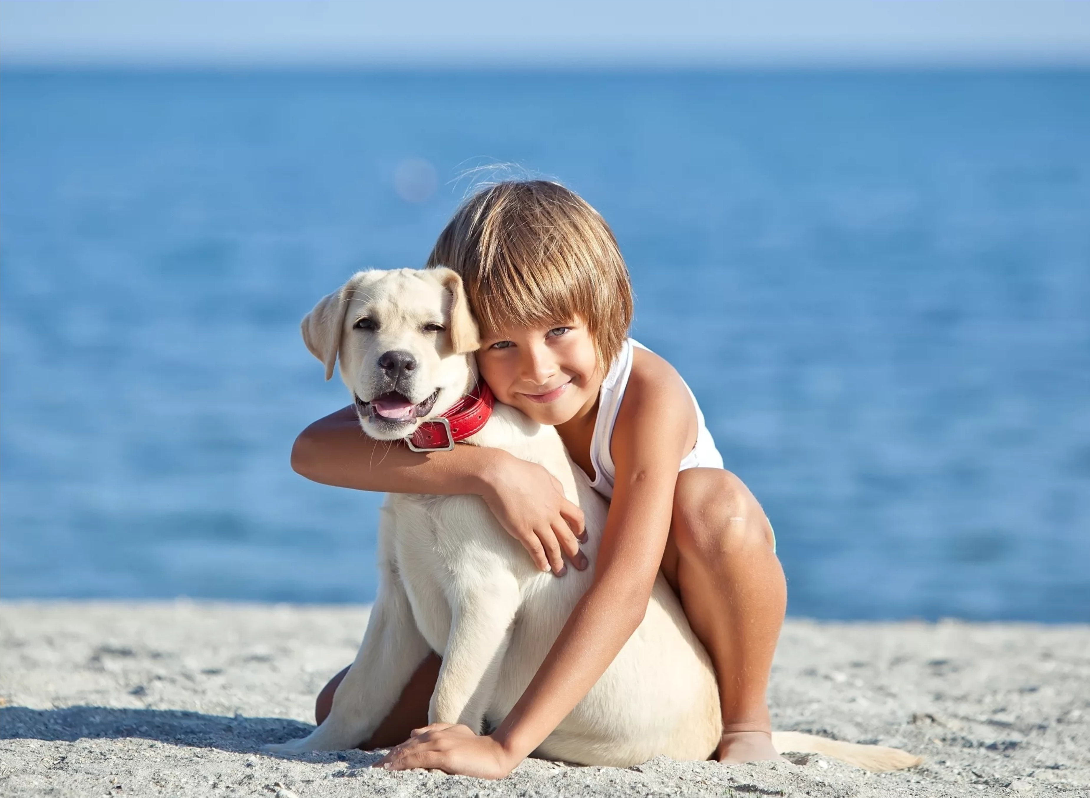 Собака для ребенка 8 лет. Лабрадор ретривер мальчик. Мальчик с собакой. Собака для детей. Собака на море.