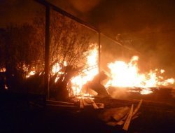 Крупный пожар в Балезино, упавший мост на Транссиб и тигр-убийца в Японии: что произошло минувшей ночью