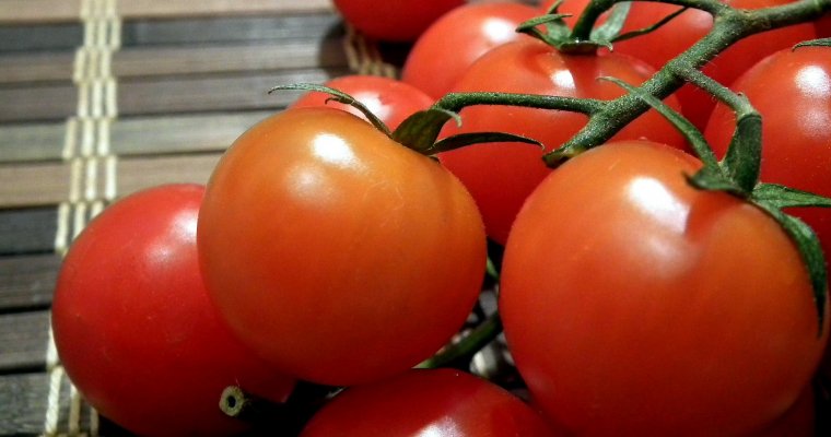 Правительство России сняло ограничение на ввоз продуктов из Турции