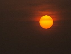 Врач предупредила об опасных симптомах солнечного удара