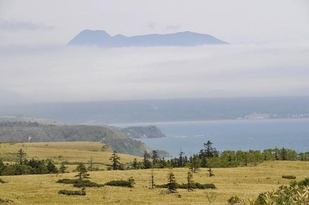 Землю на Дальнем Востоке начали бесплатно раздавать россиянам