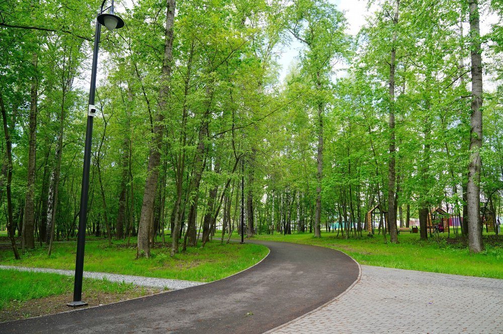 В Берёзовой роще в Ижевске планируют высадить более 500 деревьев