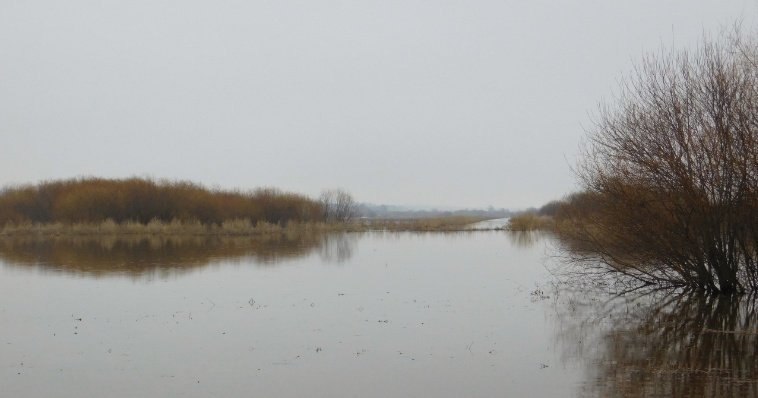 Эколог из Удмуртии объяснил факторы разрушительного паводка на Южном Урале