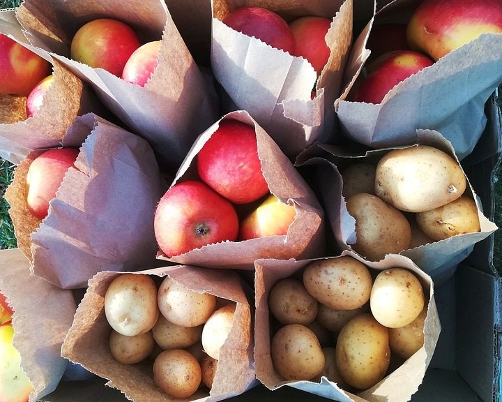 В России думают запретить продавать органик-продукты в пластиковой упаковке