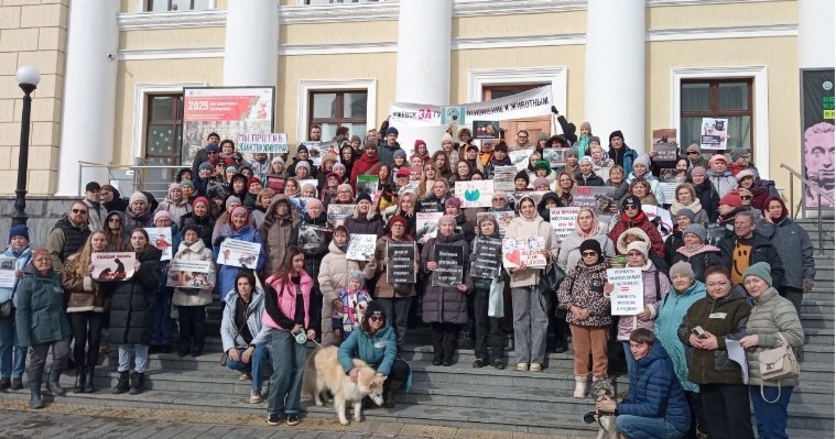 После митинга зоозащитников в Ижевске поднялась волна хейта в социальных сетях