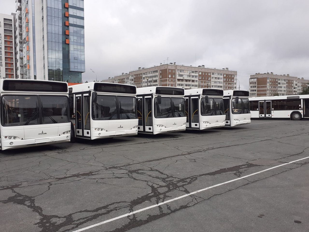 

Новые автобусы в Ижевске получат фирменную окраску

