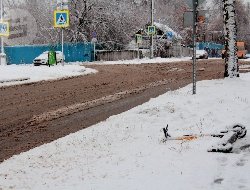 До +2 градусов прогреется воздух в Удмуртии 31 января