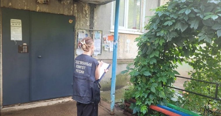 В Воткинске начали доследственную проверку после падения 4-летнего ребёнка из окна 