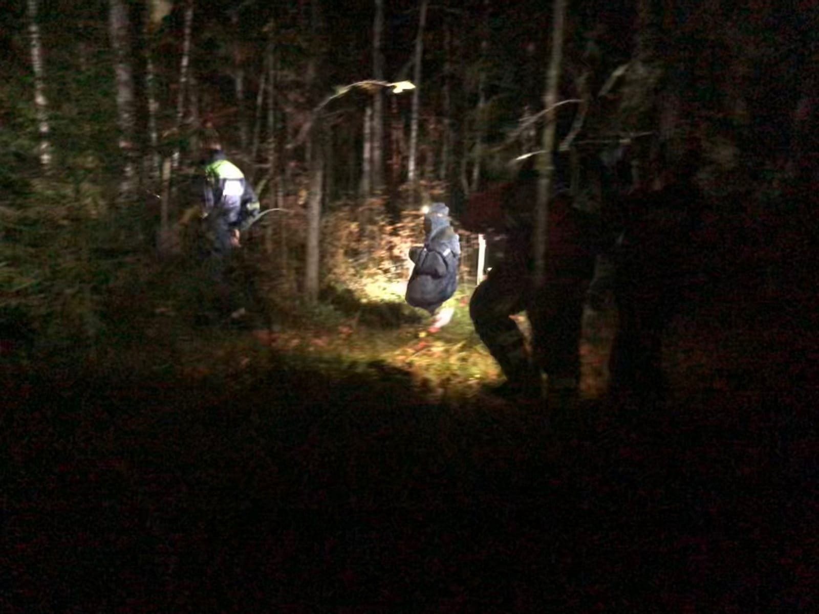 Спасатели Удмуртии вывели из леса вблизи села Чур группу потерявшихся грибников