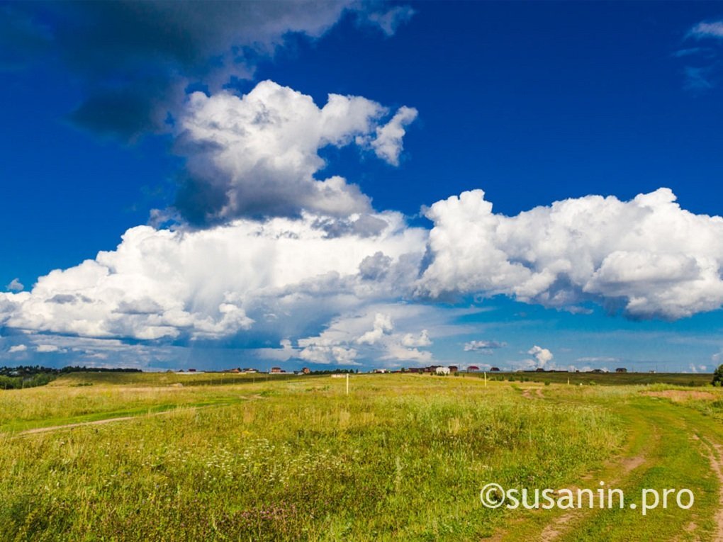 Девять тысяч предпринимателей посетили инвестиционный портал DA от Сбера