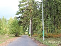 Парк имени Кирова в Ижевске начали обрабатывать от клещей
