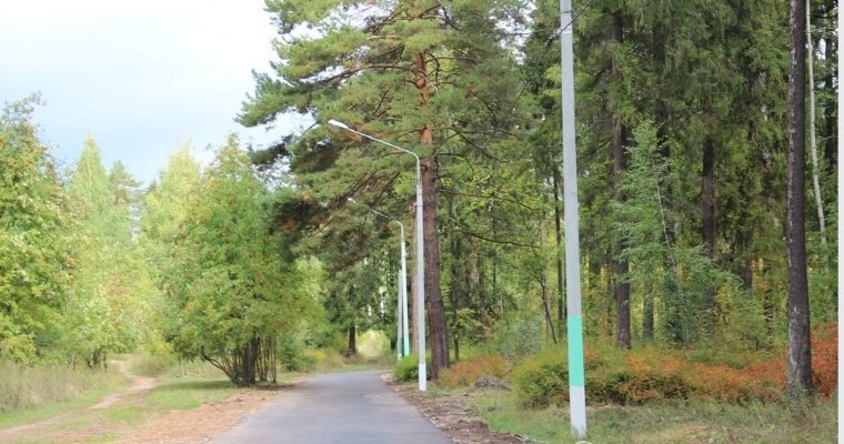 Парк имени Кирова в Ижевске начали обрабатывать от клещей