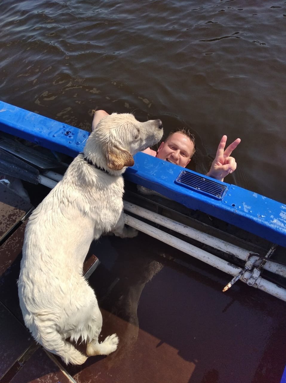 В Удмуртии спасатели вытащили из воды двух человек и собаку