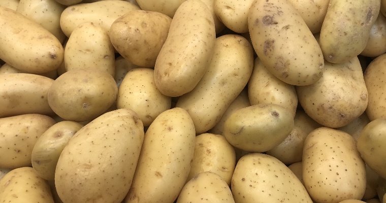 Более 3 600 тонн картофеля экспортировали из Удмуртии в 2020 году