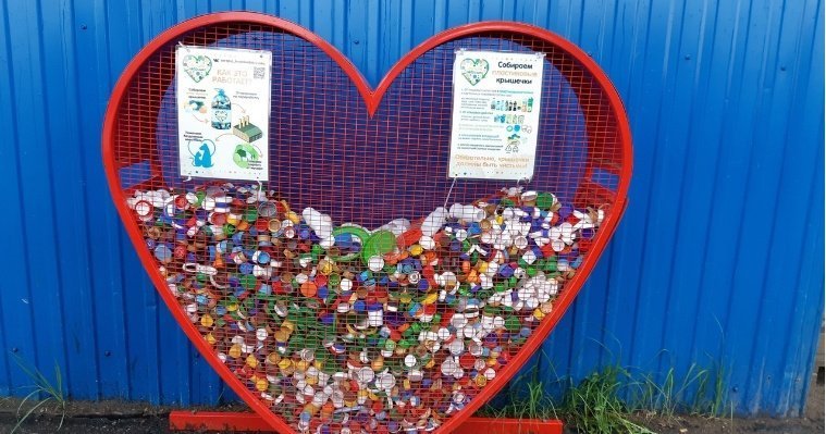 Жители Сарапула собрали 500 кг пластиковых крышек в поддержку бездомных животных