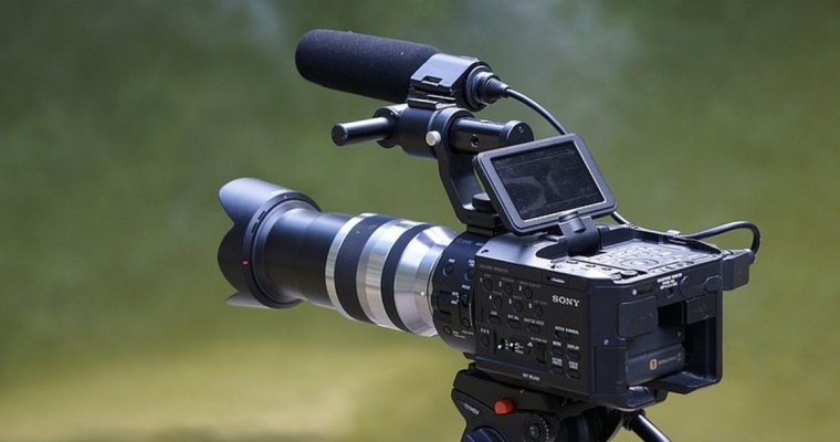 Российские кинематографисты выступили за блокировку пиратских сайтов без обращения в суд