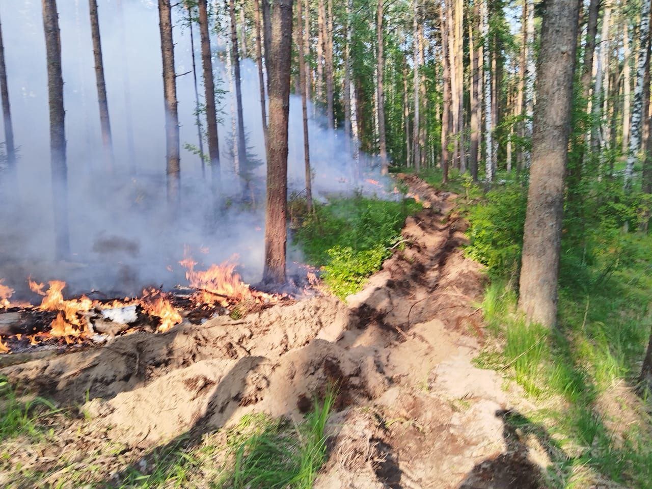 В Воткинском районе почти сутки тушили лесной пожар