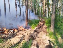 В Воткинском районе почти сутки тушили лесной пожар