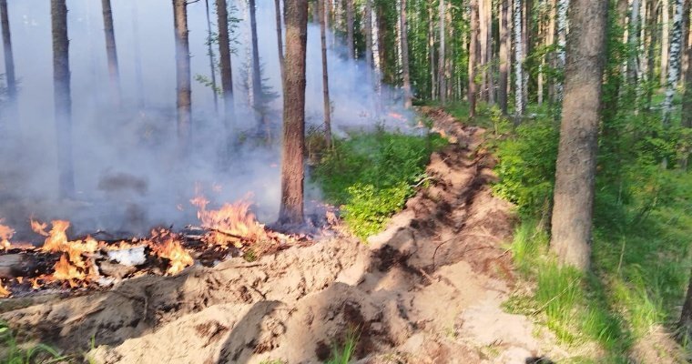 В Воткинском районе почти сутки тушили лесной пожар