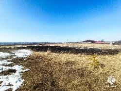 Итоги дня: первый ландшафтный пожар в Удмуртии и презентация концепции благоустройства улицы Удмуртской в Ижевске