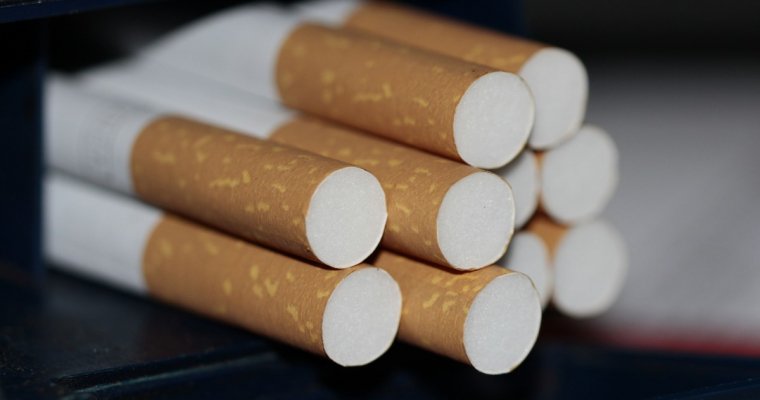 Более 3 тыс пачек сигарет уничтожат в Удмуртии