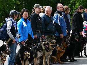 Хозяйка помешала ижевской дворняжке победить в конкурсе