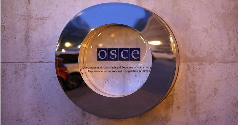 В Приднестровье раскрыли подготовку теракта против делегации ОБСЕ