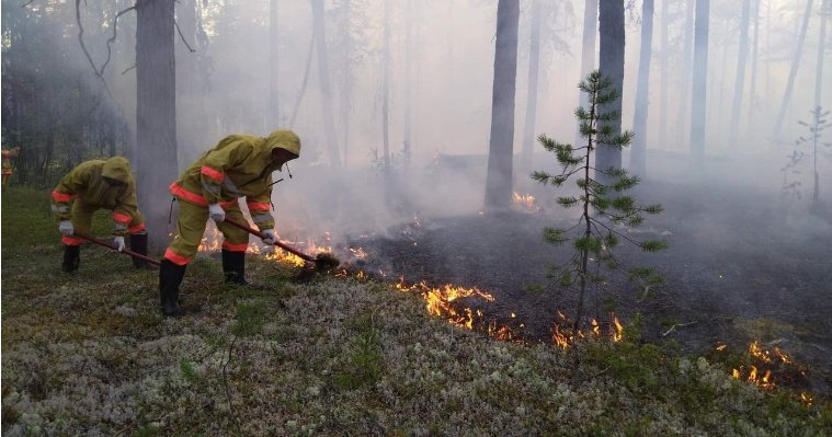 Пожарные из Удмуртии вернулись домой после тушения лесных пожаров в Республике Коми
