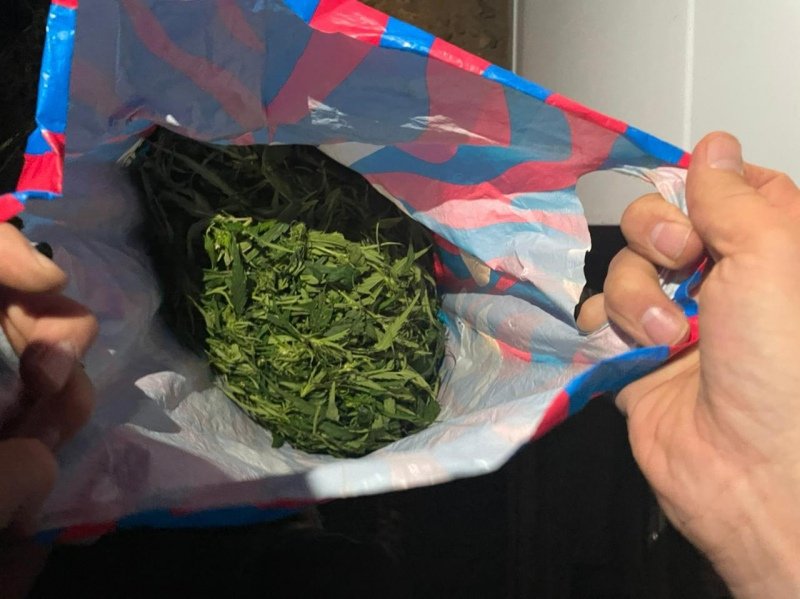 Почти килограмм марихуаны изъяли у троих жителей Удмуртии