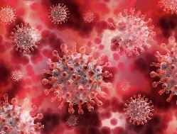 За последние сутки в Удмуртии выявили 124 новых случая заражения коронавирусом